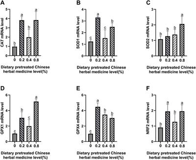 Effects of dietary pretreated Chinese herbal medicine supplementation on production performance, egg quality, uterine histopathological changes, and antioxidant capacity in late-phase laying hens